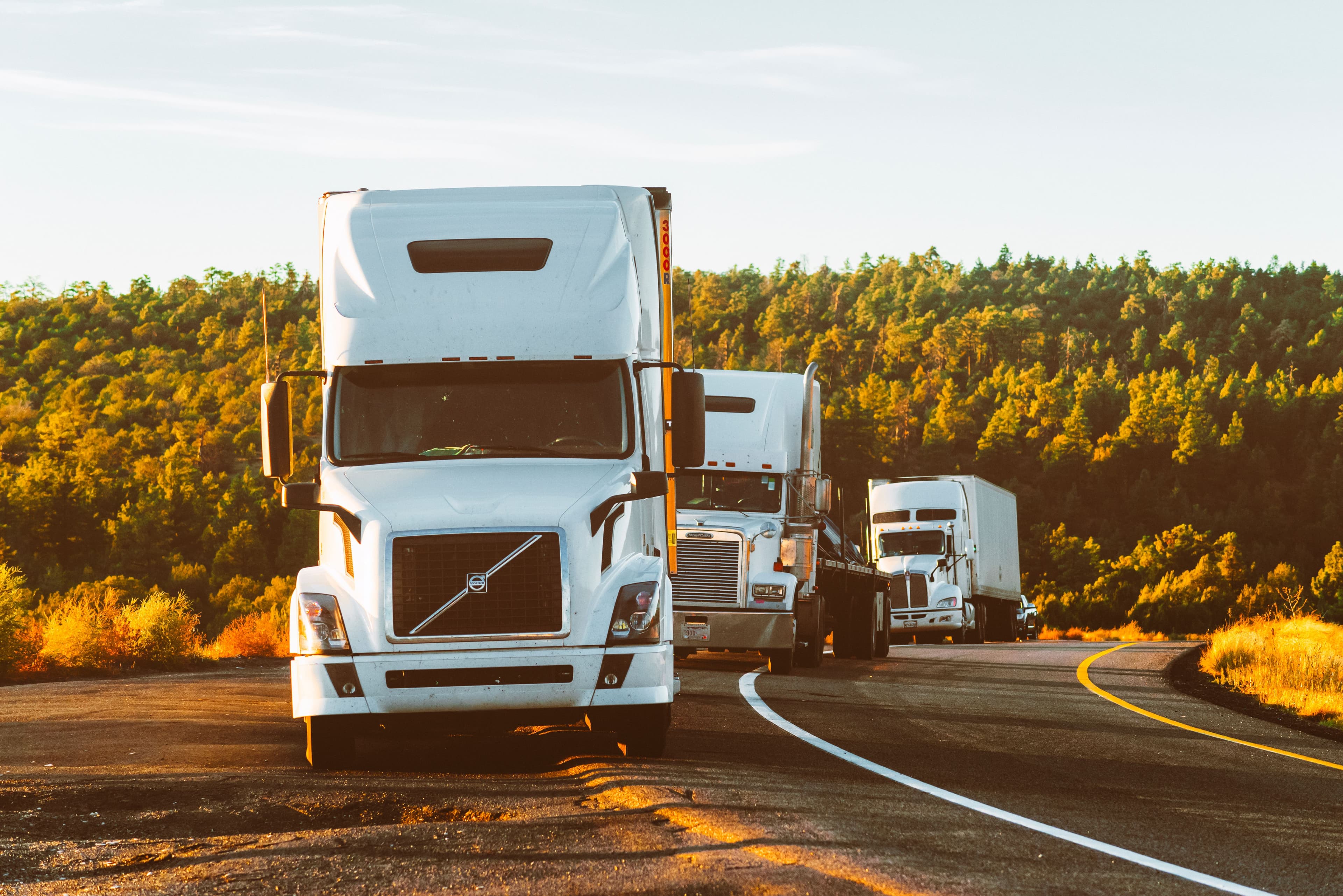 A convoy of semi-trucks driving a curved highway through a forest at golden hour